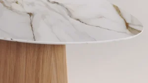 Comedor Buja